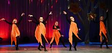 VIII областной фестиваль хореографического и циркового искусства «Надежда»